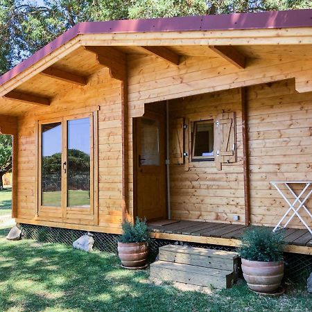 Woodhouse Villa São Pedro do Estoril Dış mekan fotoğraf