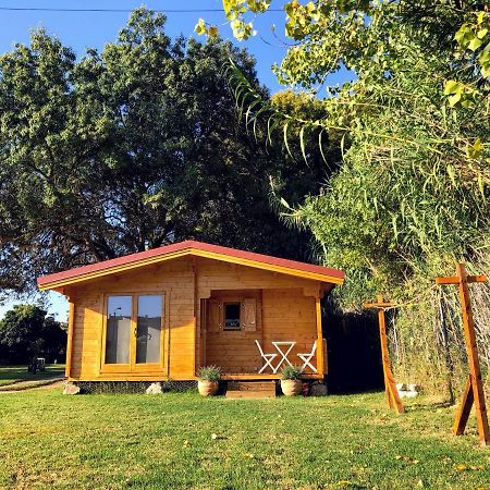 Woodhouse Villa São Pedro do Estoril Dış mekan fotoğraf