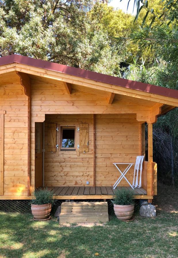 Woodhouse Villa São Pedro do Estoril Dış mekan fotoğraf