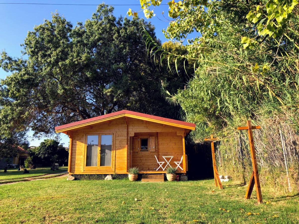 Woodhouse Villa São Pedro do Estoril Dış mekan fotoğraf